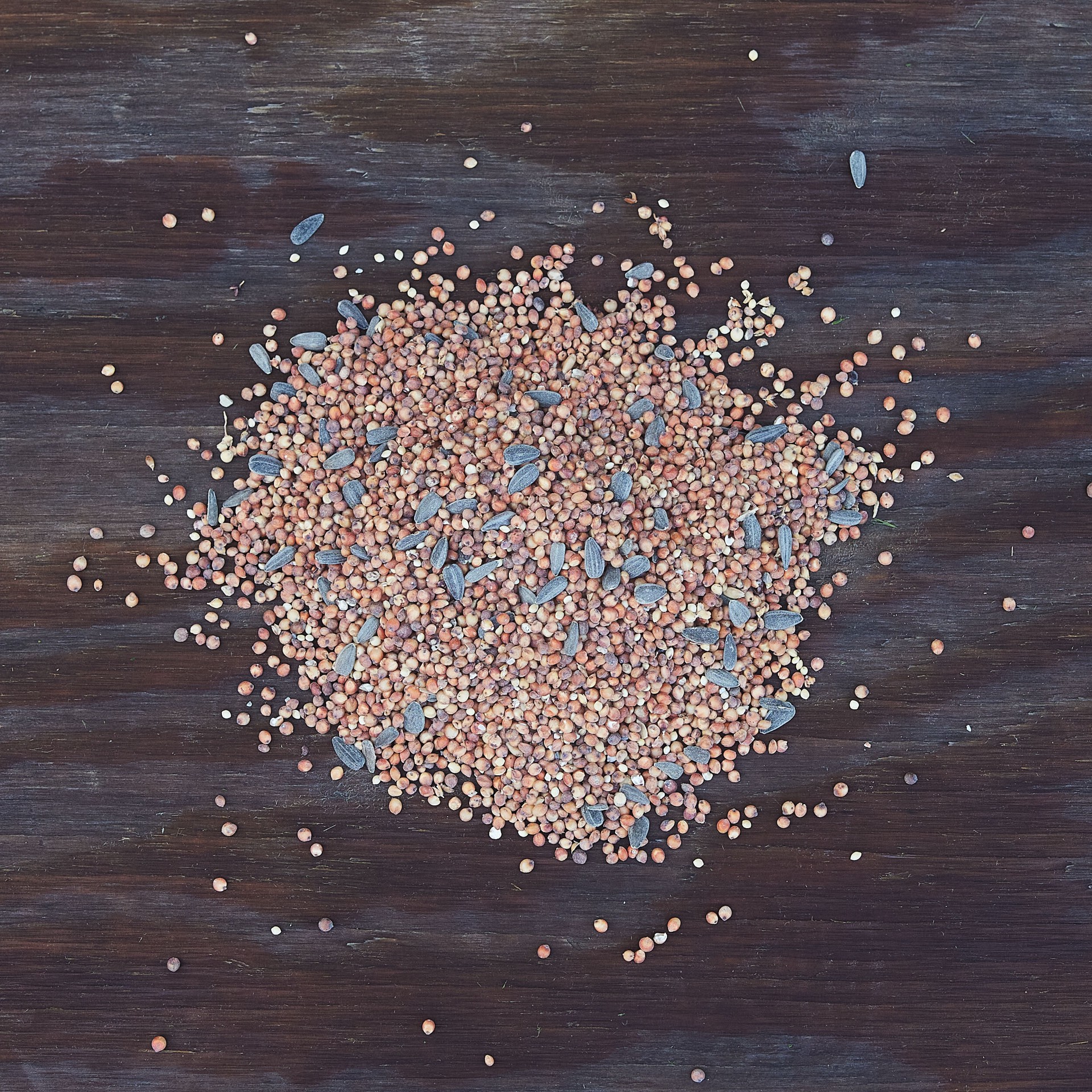 slide 2 of 6, Hello Birds Wild Bird Seed Blend 40-lb, 1 ct