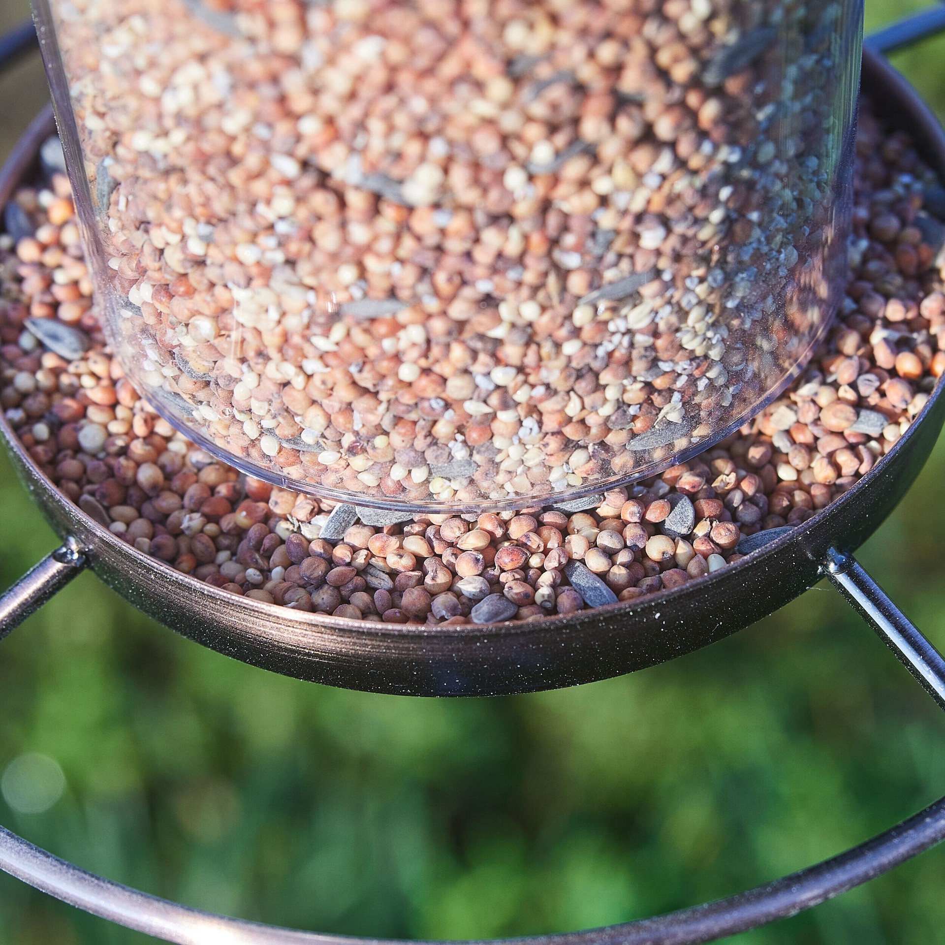 slide 3 of 6, Hello Birds Wild Bird Seed Blend 40-lb, 1 ct