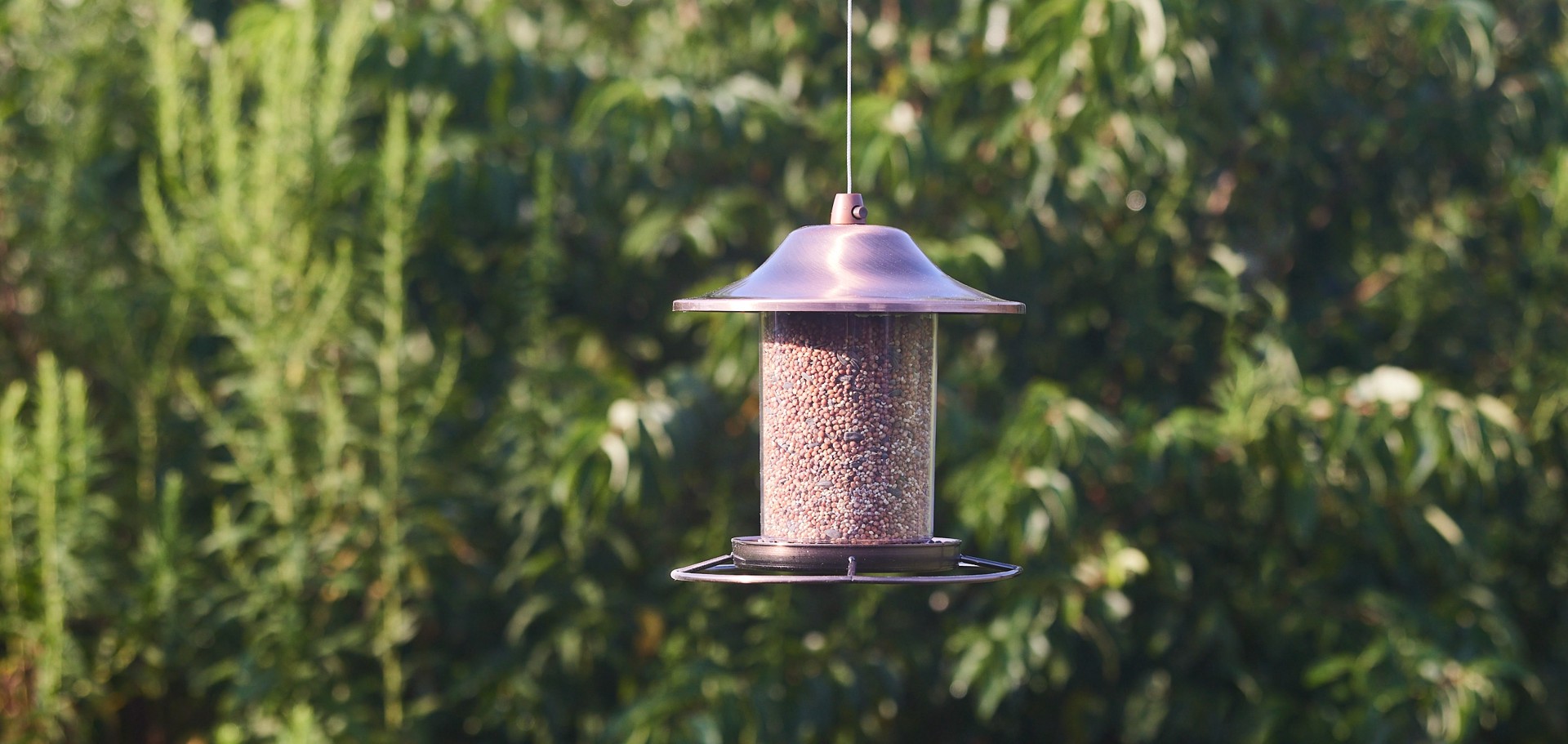 slide 4 of 6, Hello Birds Wild Bird Seed Blend 40-lb, 1 ct