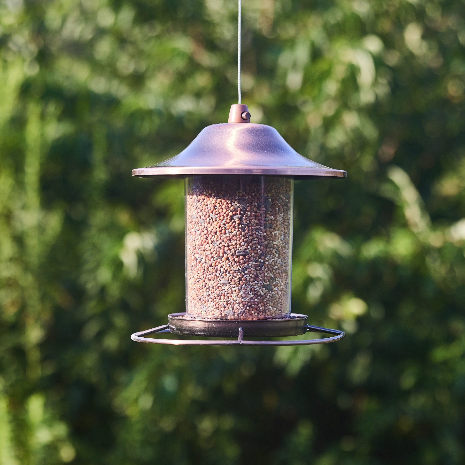 slide 5 of 6, Hello Birds Wild Bird Seed Blend 40-lb, 1 ct