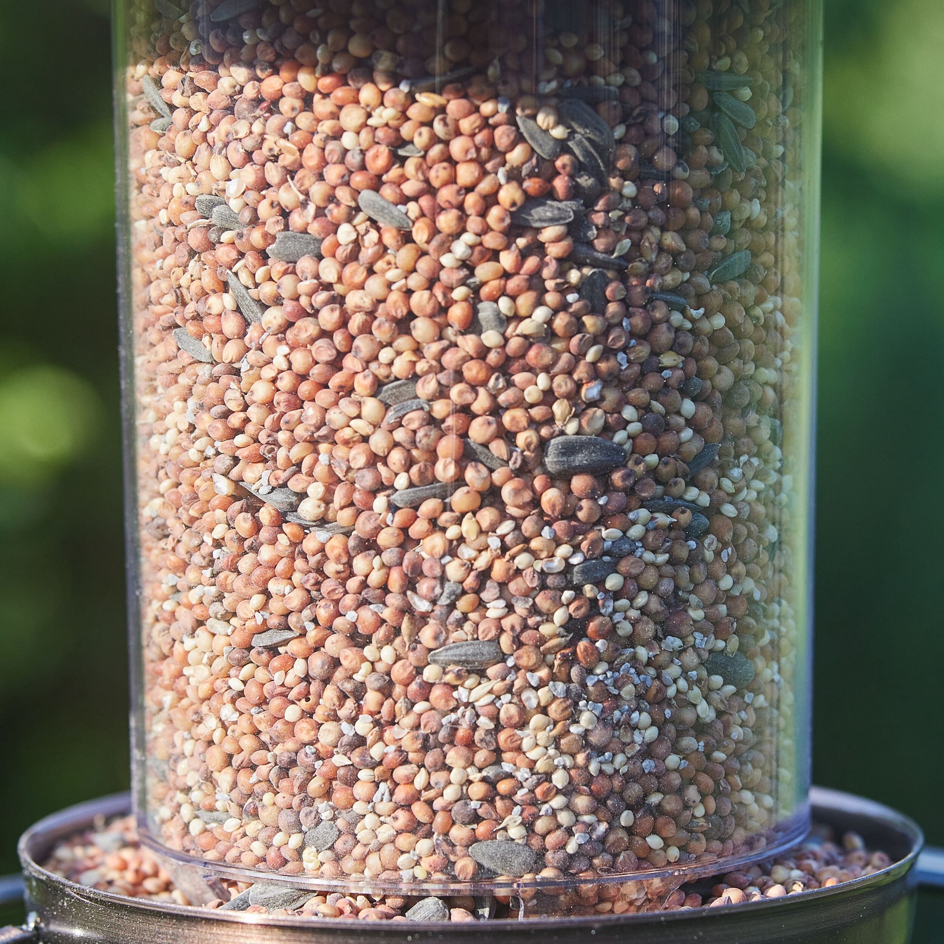 slide 6 of 6, Hello Birds Wild Bird Seed Blend 40-lb, 1 ct