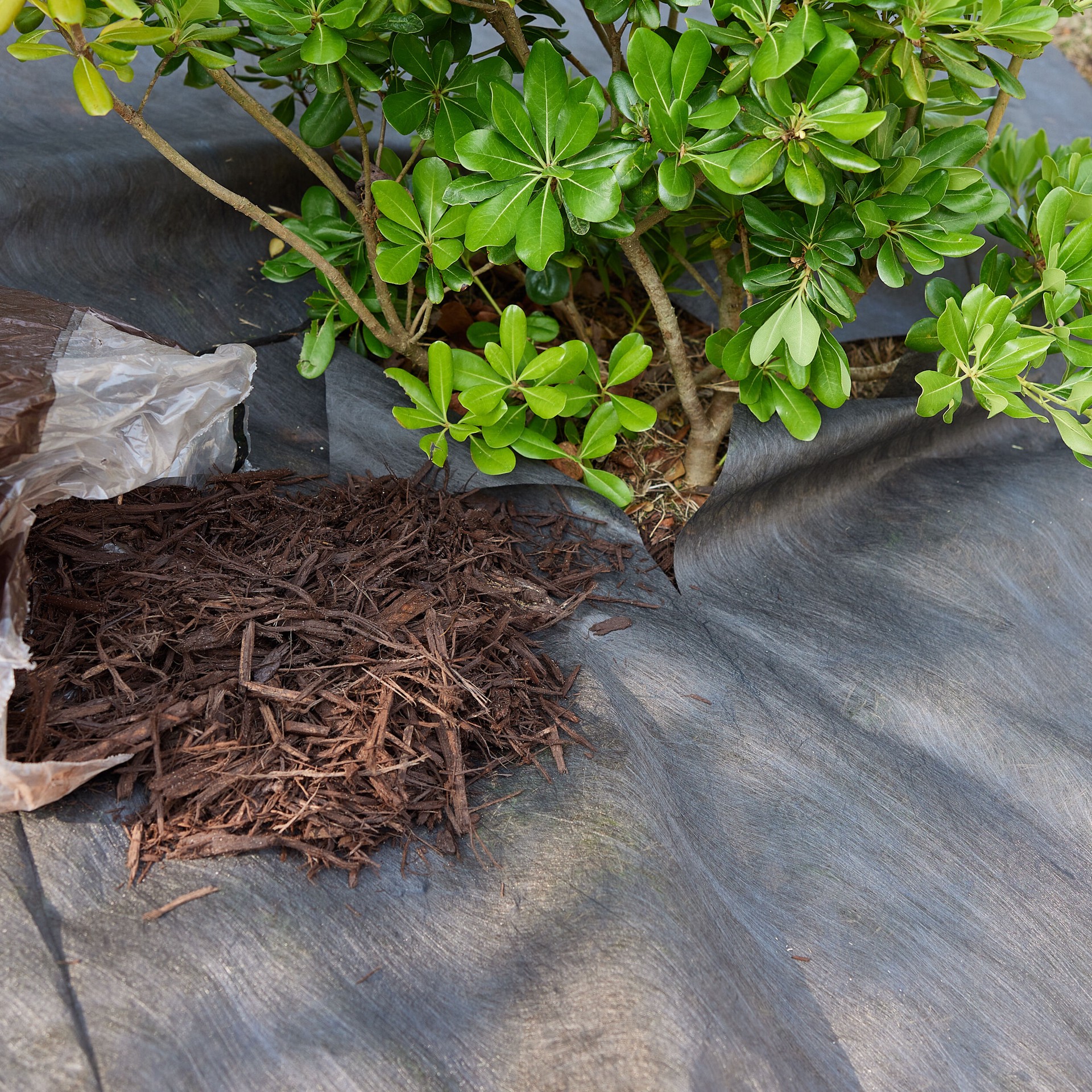 slide 4 of 6, Sta-Green 50-ft x 3-ft Basic Weed barrier Landscape Fabric, 1 ct