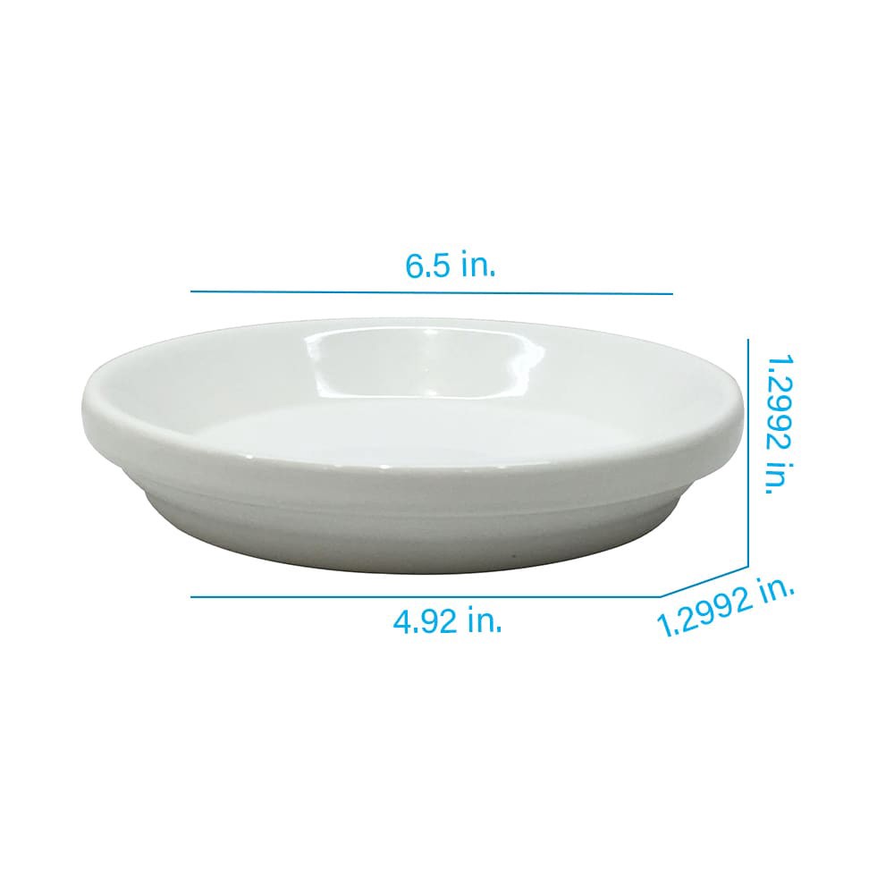 slide 3 of 5, allen + roth Round 1.3-in W x 6.5-in L White Ceramic Indoor Planter, 1 ct