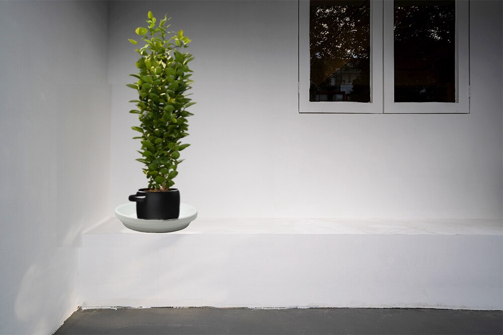 slide 4 of 5, allen + roth Round 1.3-in W x 6.5-in L White Ceramic Indoor Planter, 1 ct