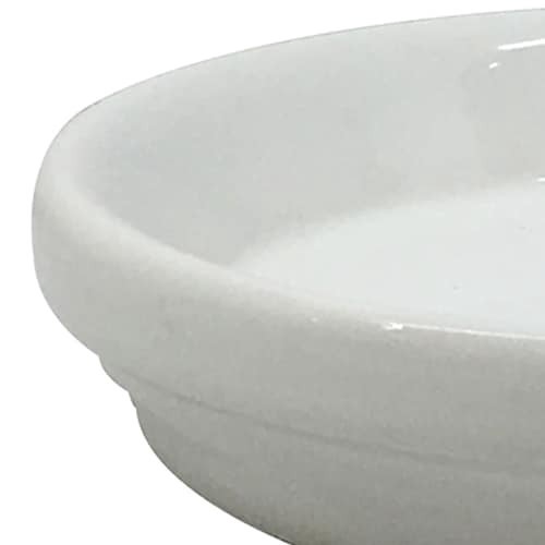 slide 2 of 5, allen + roth Round 1.0-in W x 4.5-in L White Ceramic Indoor Planter, 1 ct