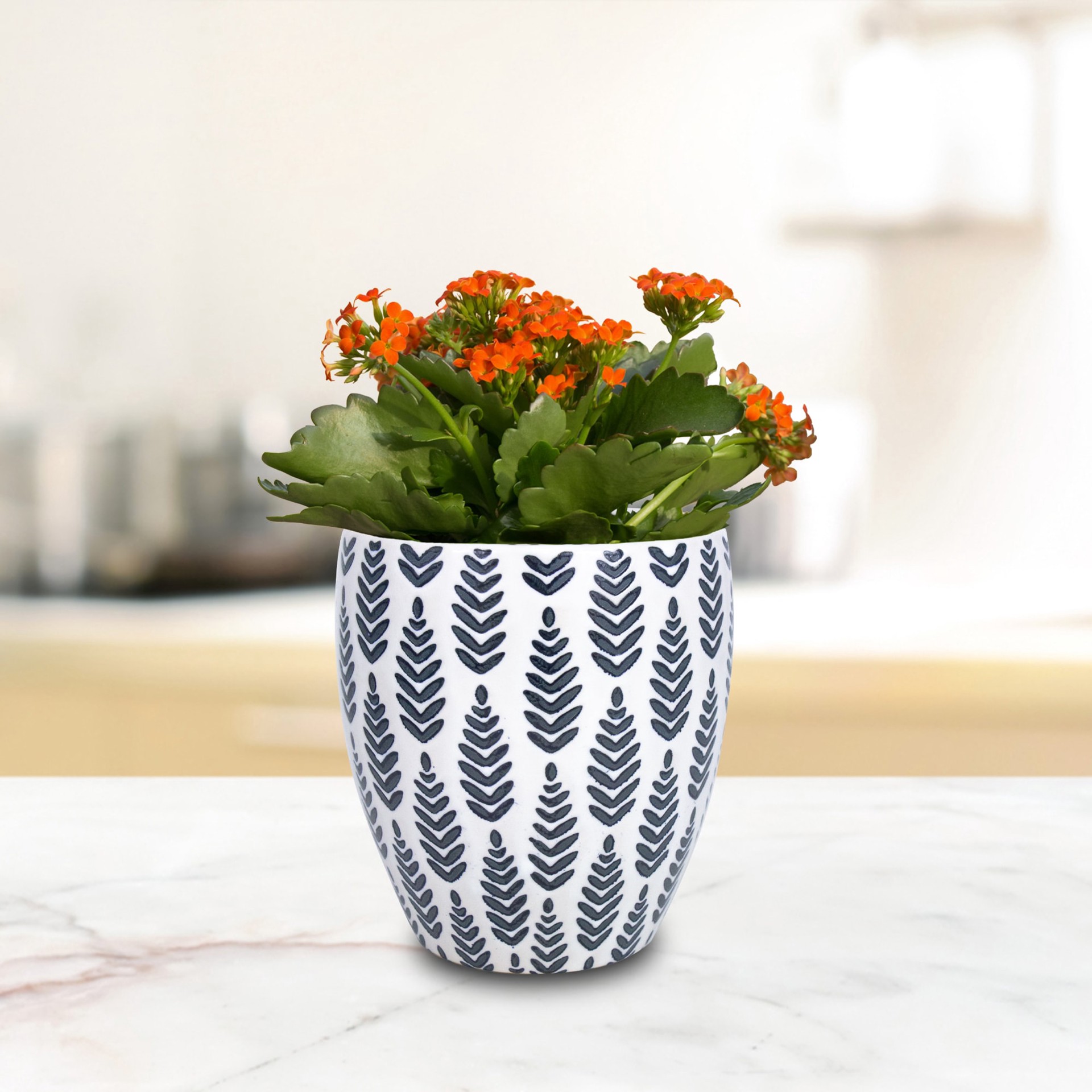 slide 4 of 6, allen + roth Round 5.31-in W x 18.51-in L Multiple colors/finishes Ceramic Indoor Planter, 1 ct