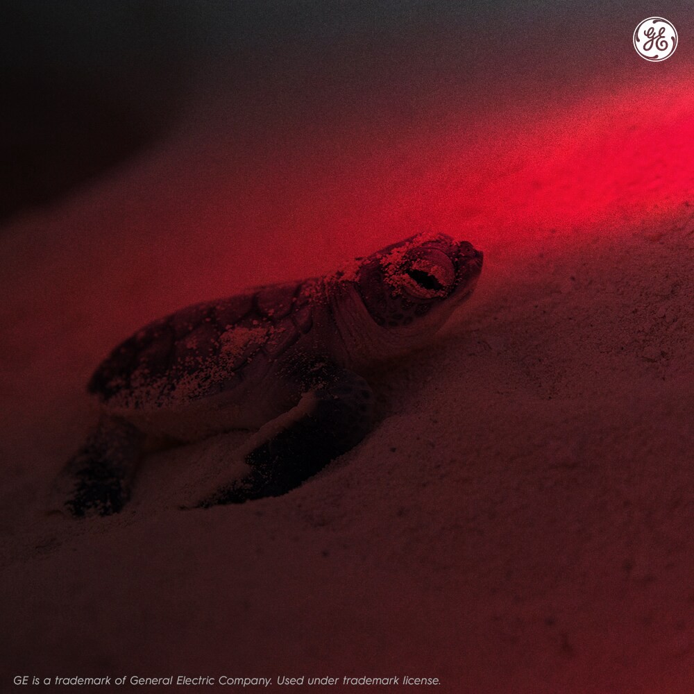 slide 5 of 6, GE Outdoor 60 -Watt EQ A19 Red Medium base (E-26) Dimmable LED Specialty Light Bulb, 1 ct