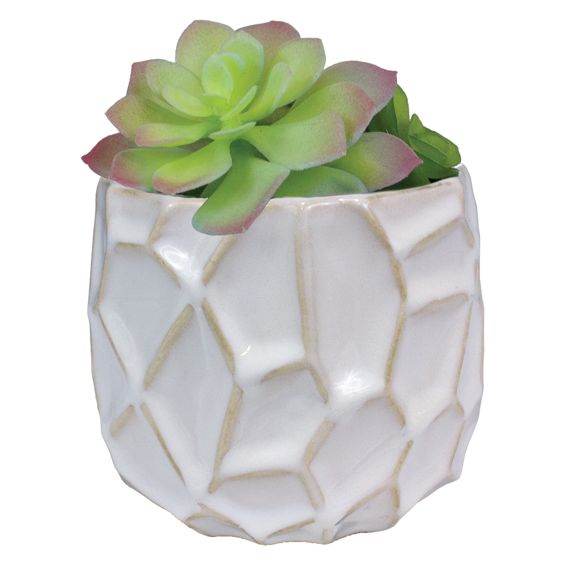 slide 5 of 6, allen + roth Round 3.94-in W x 4-in L White Ceramic Indoor Planter, 1 ct