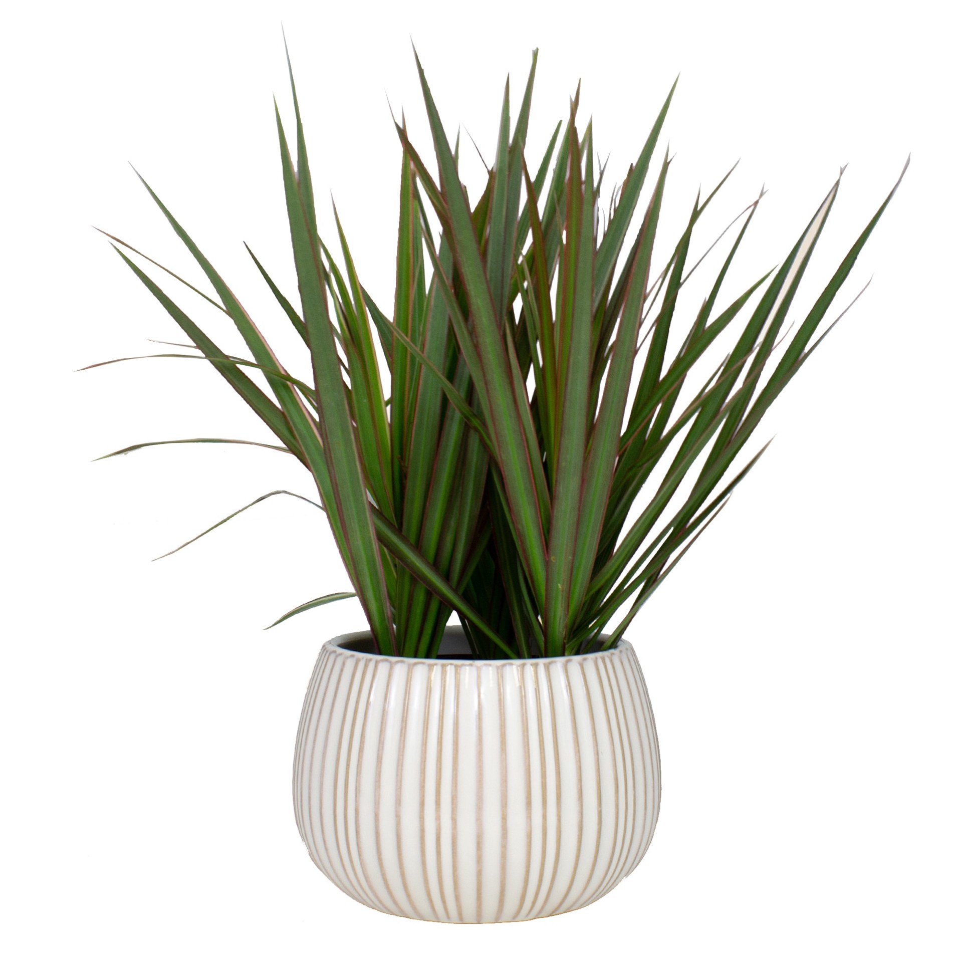 slide 5 of 6, allen + roth Round 5.13-in W x 8-in L White Ceramic Indoor Planter, 1 ct