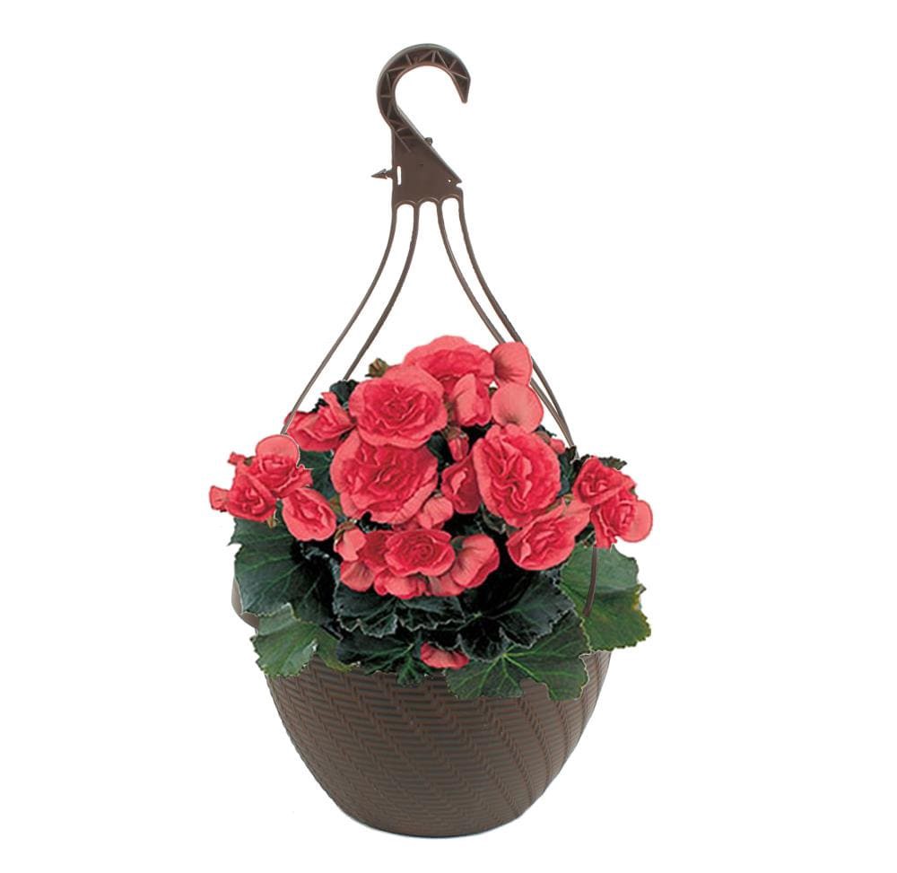 slide 4 of 4, Lowe's Multicolor Mixed Annuals in 2 Gallon(s) Planter 1 -Pack, 1 ct