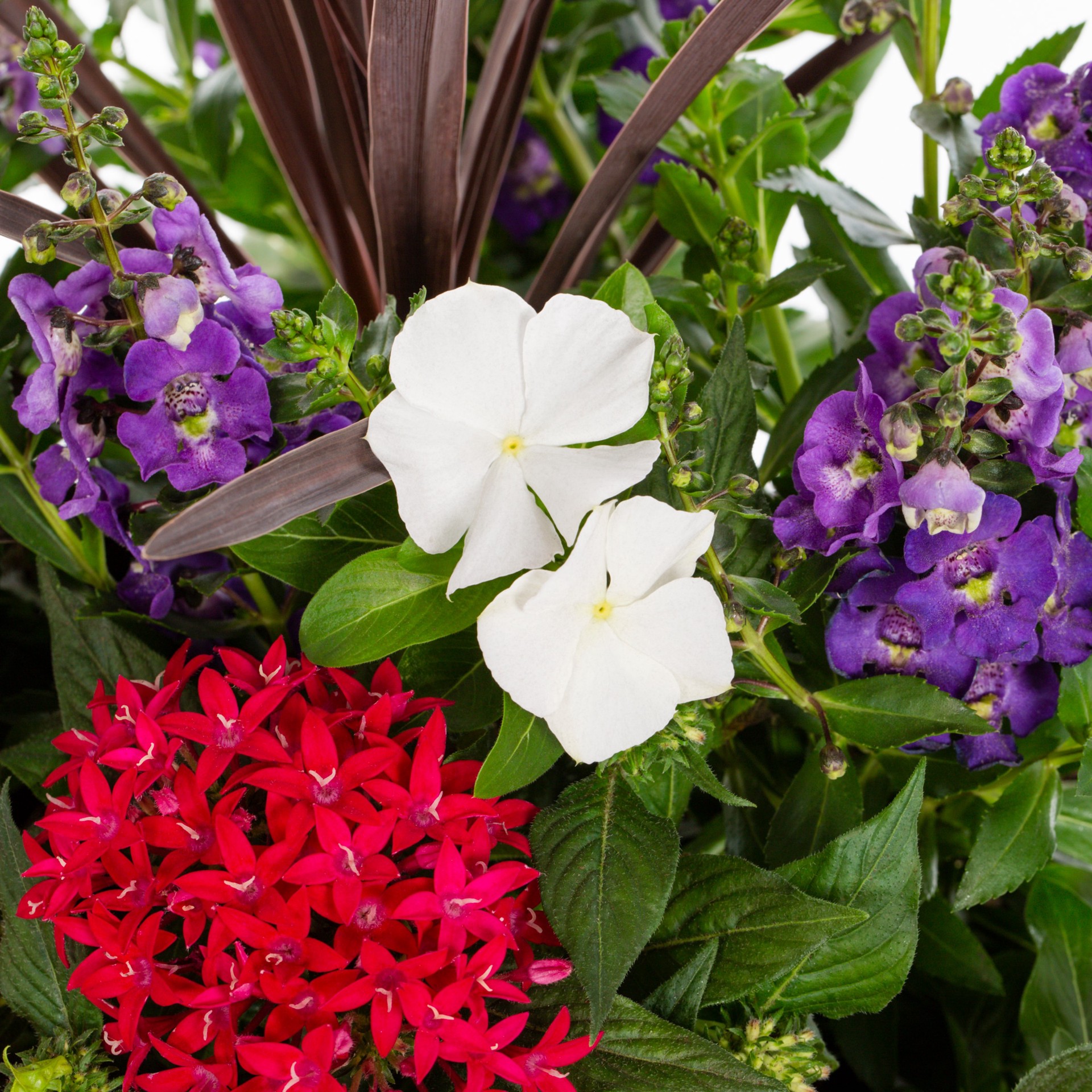 slide 2 of 3, Lowe's Multicolor Combo 97 in Gallon(s) Planter, 1 ct