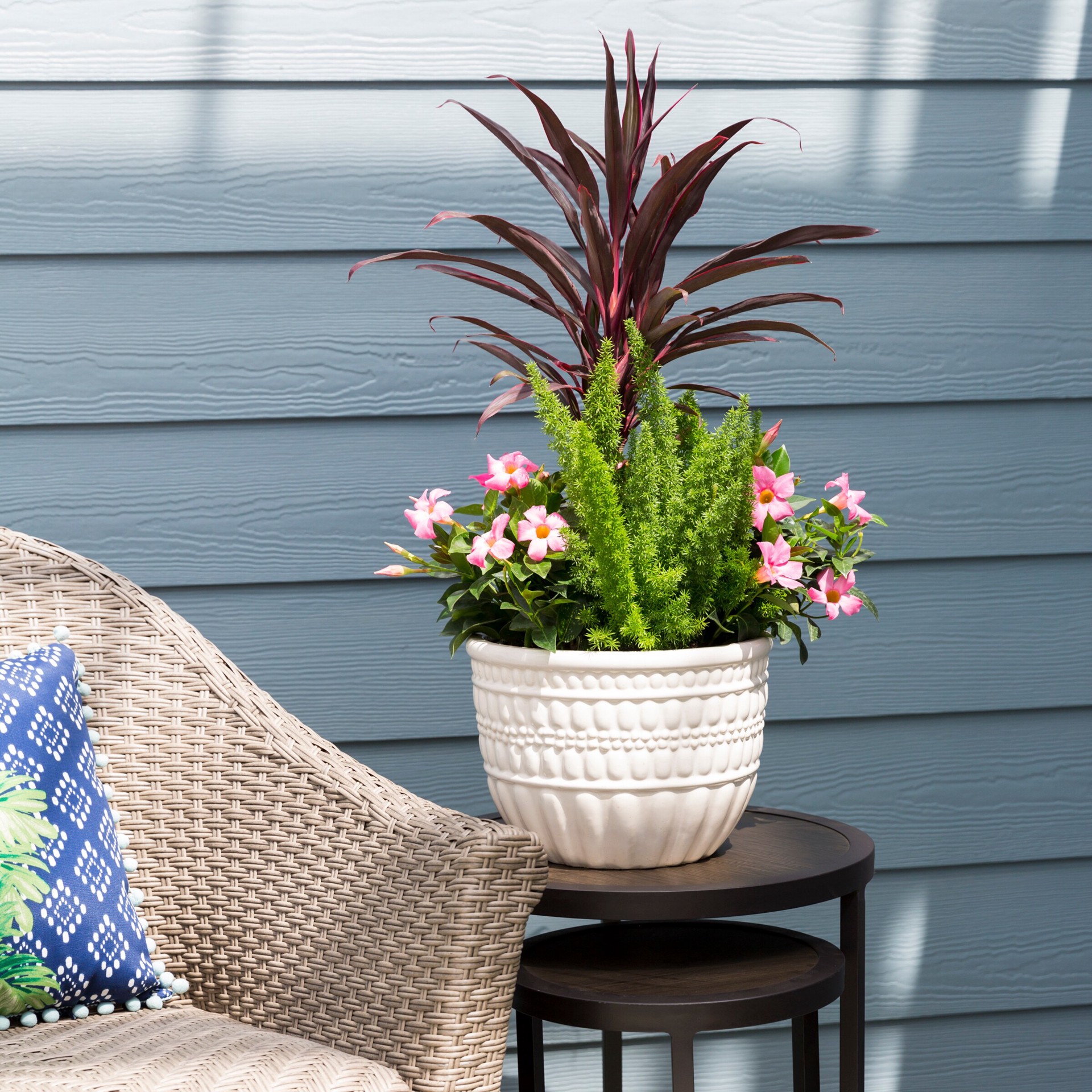 slide 3 of 4, Lowe's Mixed Annuals Combinations Feature Shrub in 1.50 -Gallon Pot 1 -Pack with Multicolor Blooms, 1 ct