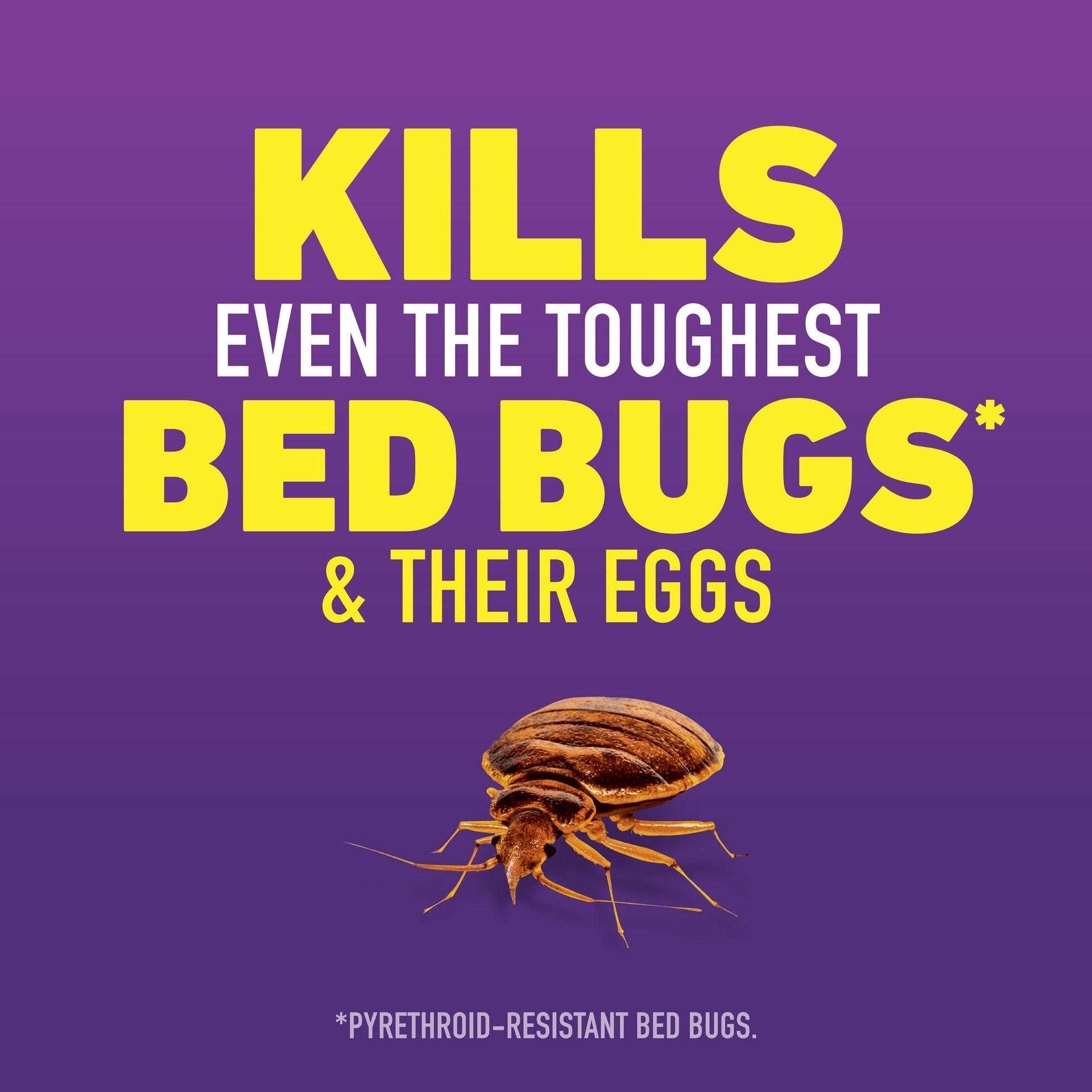 slide 4 of 6, ORTHO Home Defense Max 1 -Gallon Ready to Use Bed bug killer, 1 ct