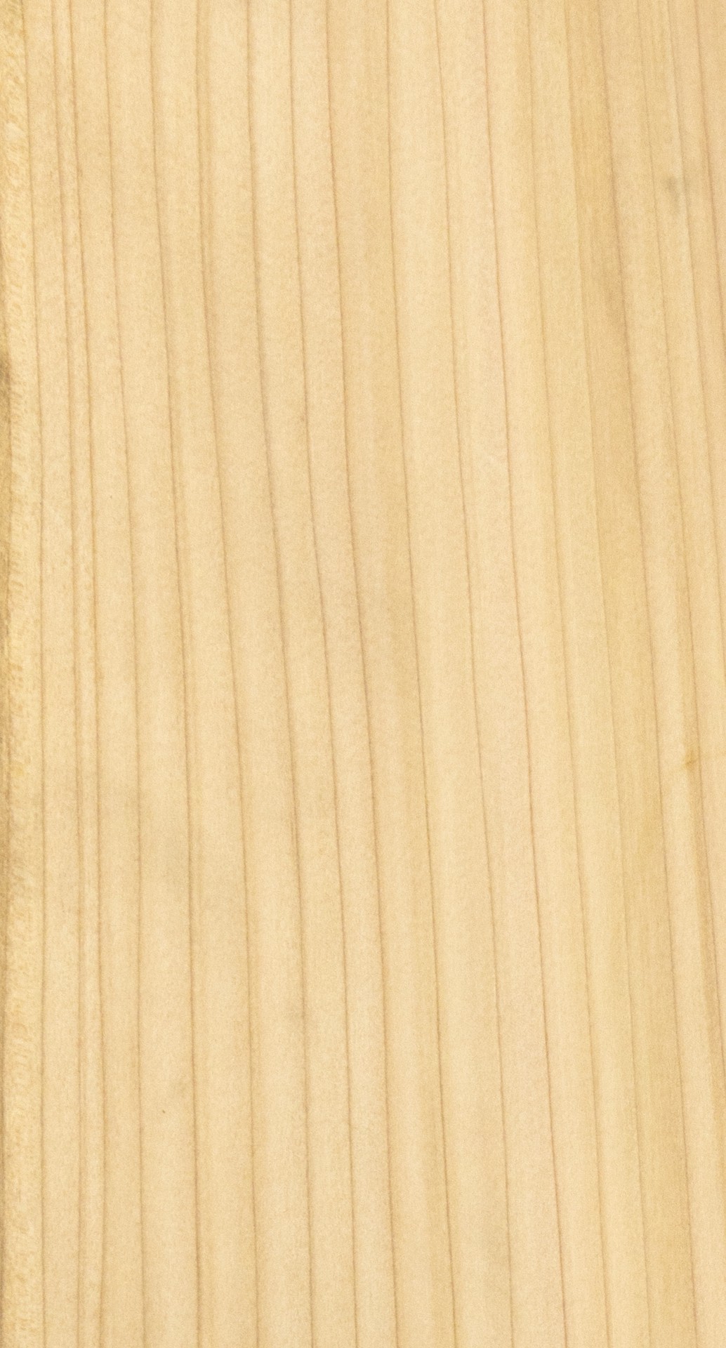 slide 5 of 6, RELIABILT 1-in x 5-in x 4-ft Unfinished Clear S4S Hemlock Common Softwood Board, 1 ct