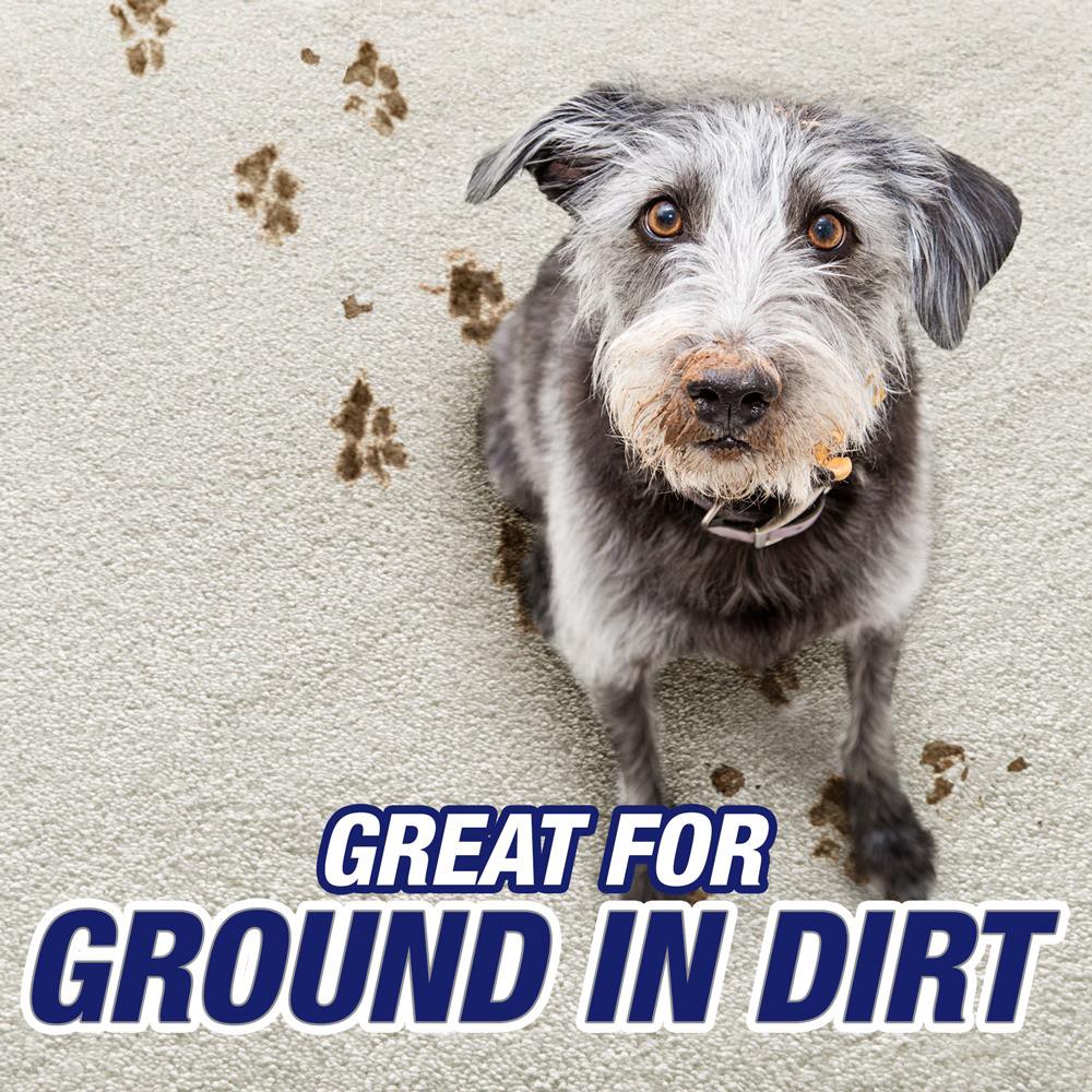 slide 2 of 6, Resolve Urine Destroyer Carpet cleaner Liquid 96-oz, 1 ct