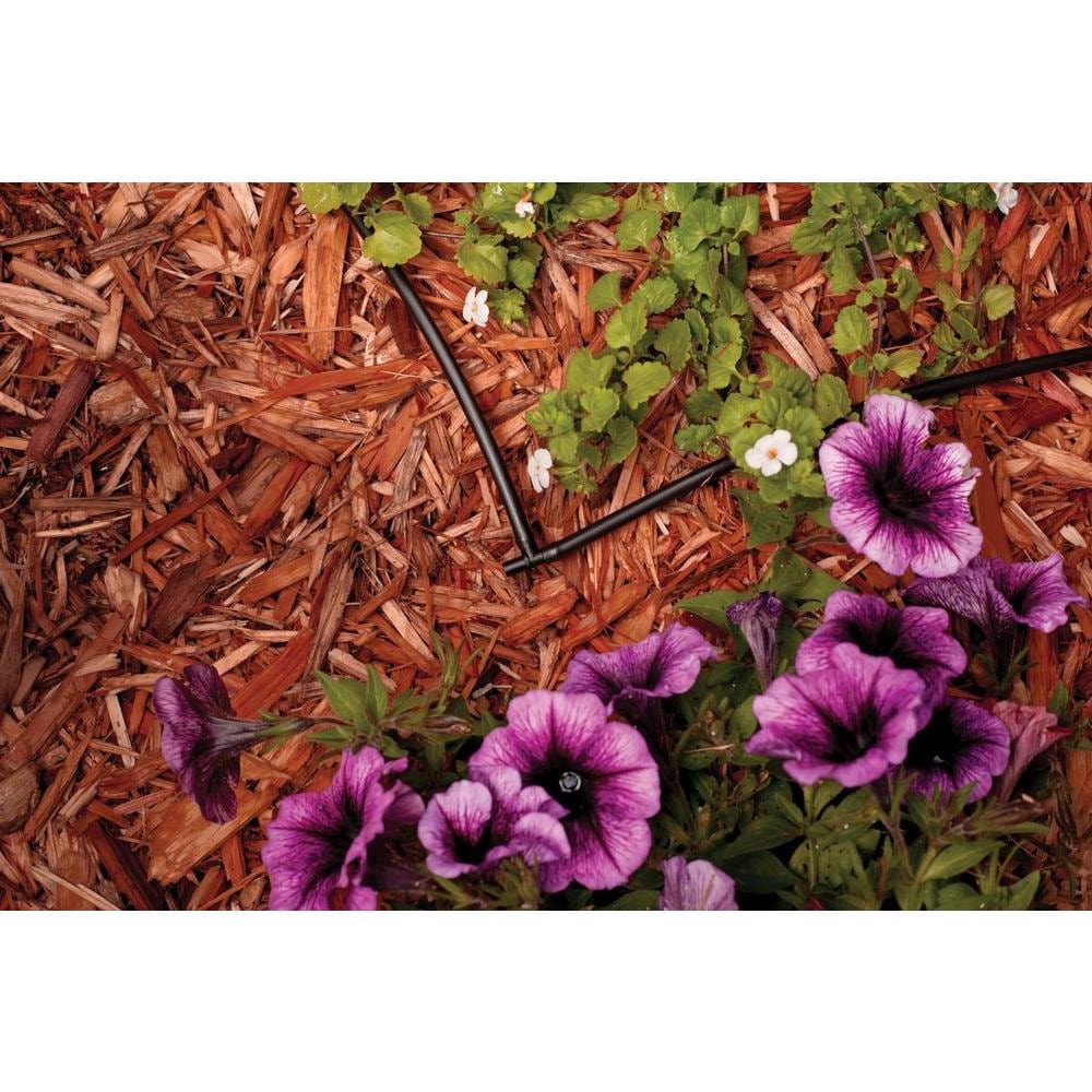 slide 2 of 2, Rain Bird 1/4-in Polyethylene Barbed Drip Irrigation Elbow 10-Pack, 1 ct