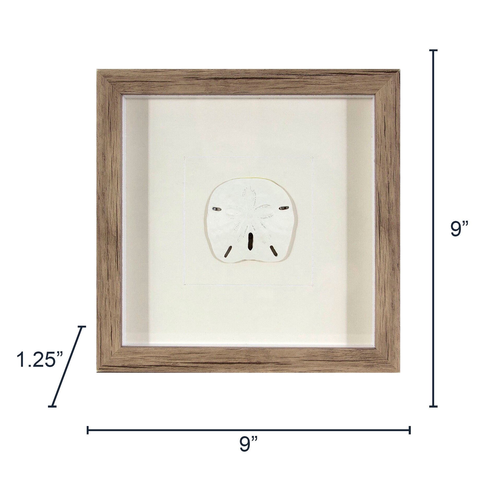 slide 3 of 4, allen + roth Framed 9-in H x 9-in W Coastal Print, 1 ct