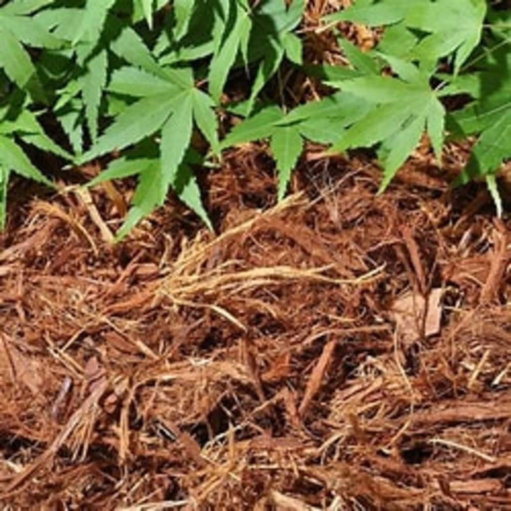 slide 2 of 5, 2-cu ft Reddish Brown 100% Cedar Bark Mulch, 1 ct