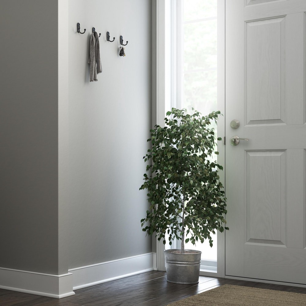 slide 4 of 6, allen + roth 2 -Hook 1.02-in x 2.69-in H Matte Black Decorative Wall Hook ( 25-lb Capacity), 1 ct