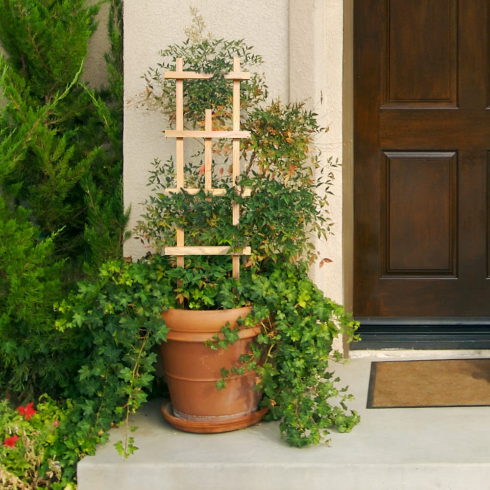 slide 4 of 5, Style Selections 12-in W x 42-in H Natural wood Cedar Garden Trellis For Climbing Plants For Cucumbers For Roses For Tomatoes, 1 ct