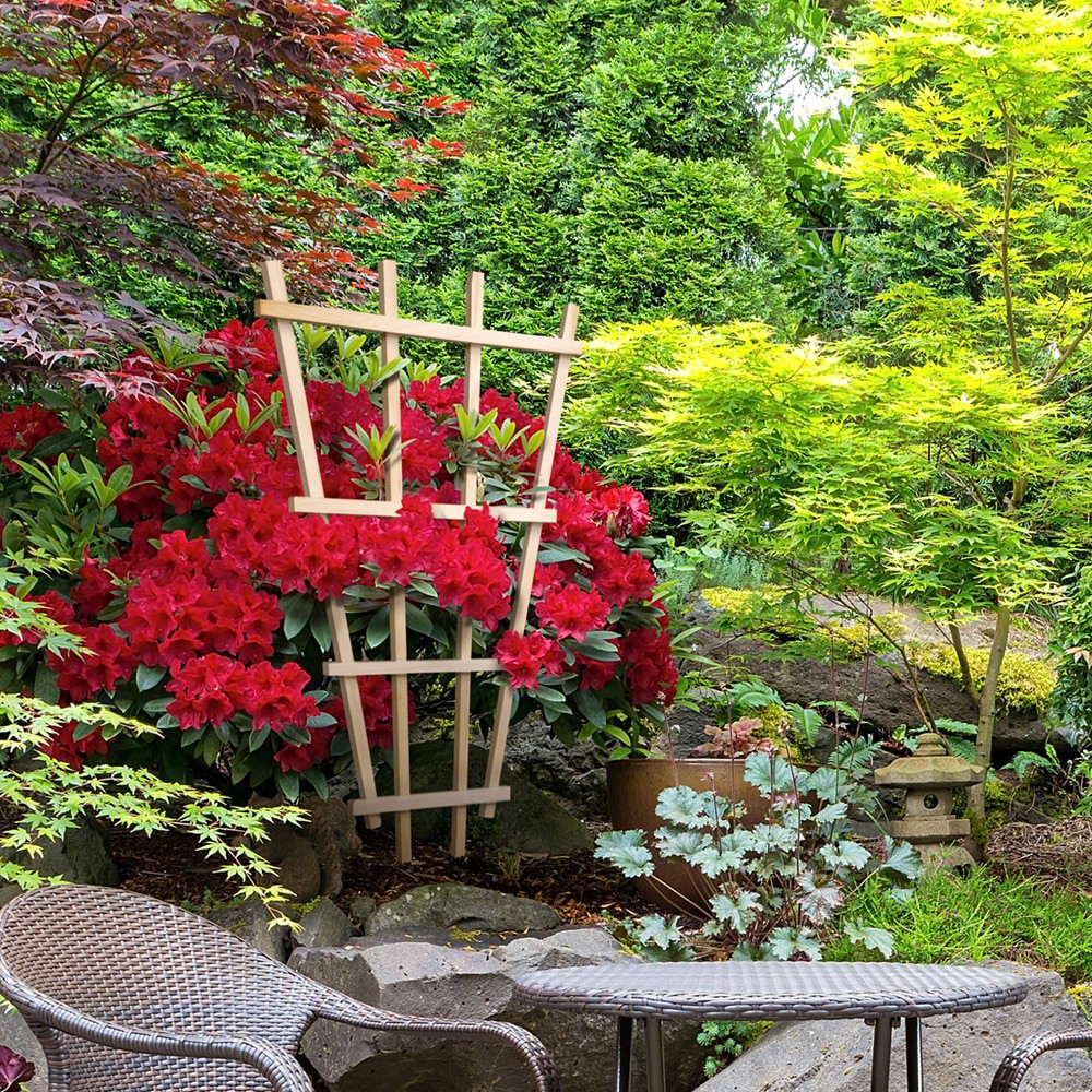 slide 2 of 5, Style Selections 24-in W x 54-in H Natural wood Cedar Garden Trellis For Climbing Plants For Cucumbers For Roses For Tomatoes, 1 ct