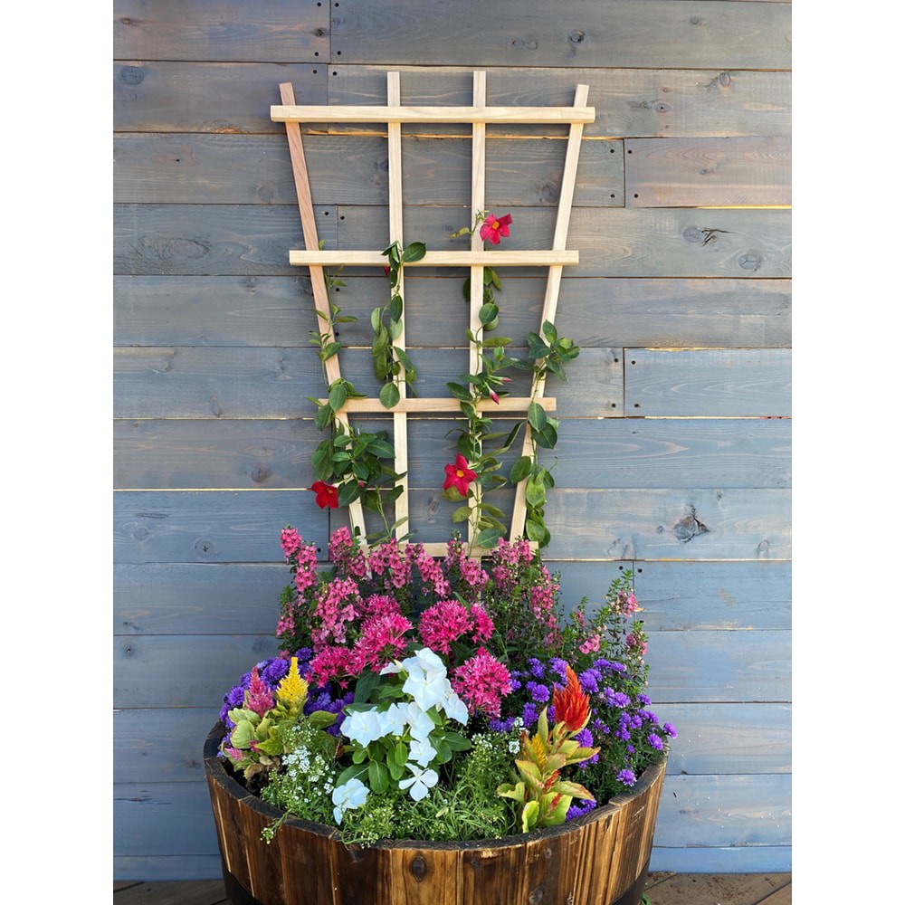 slide 1 of 5, Style Selections 24-in W x 54-in H Natural wood Cedar Garden Trellis For Climbing Plants For Cucumbers For Roses For Tomatoes, 1 ct