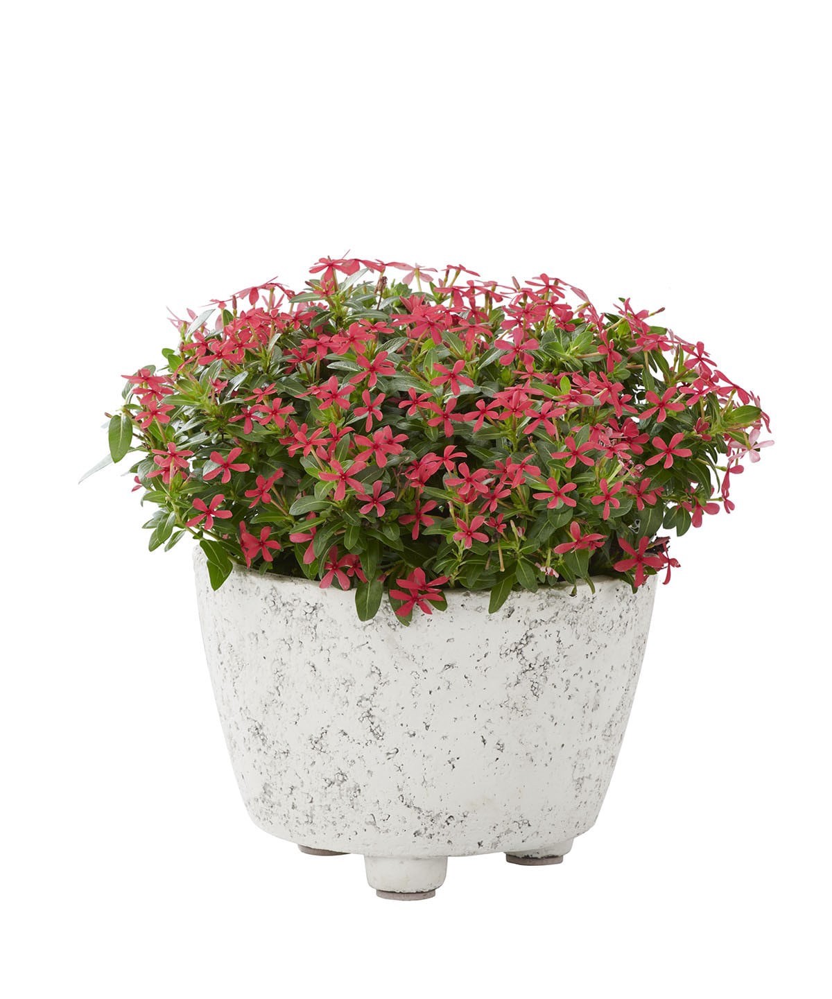 slide 4 of 6, Origin 21 Round 8-in W x 8-in L White Mixed/Composite Indoor Planter, 1 ct