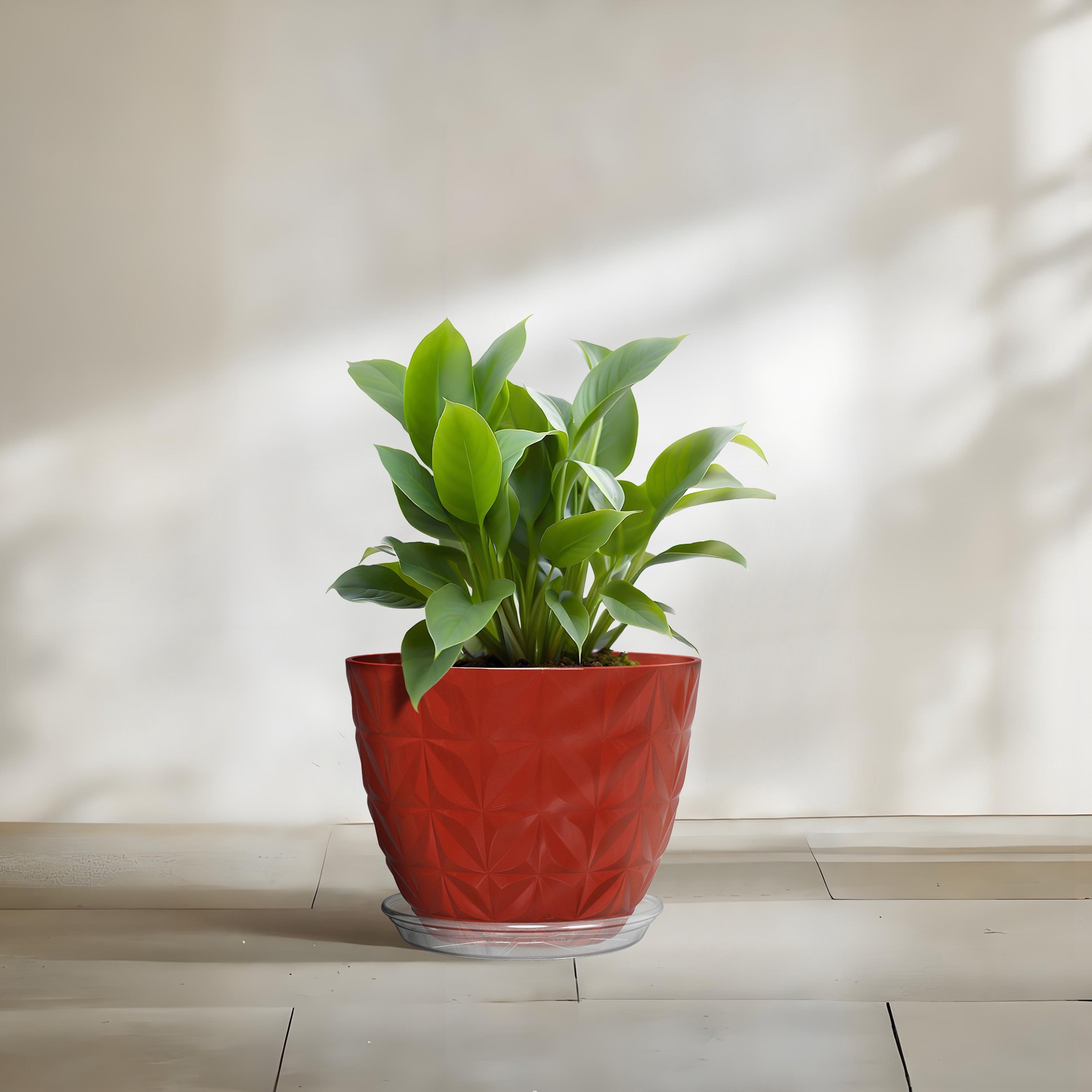 slide 1 of 6, allen + roth 11.54-in Translucent Plastic Plant Saucer, 1 ct