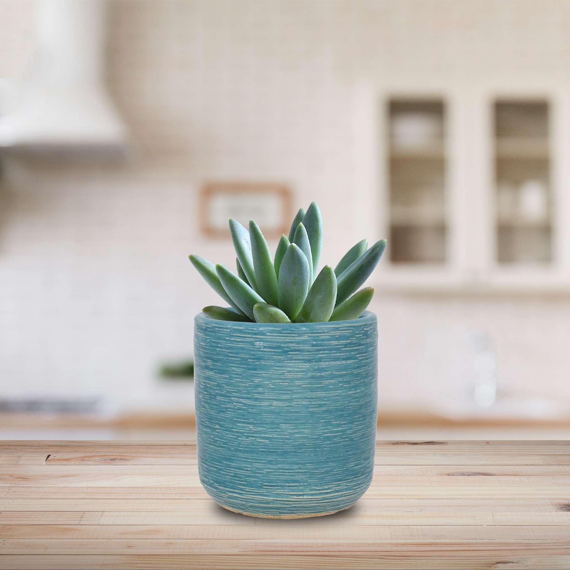 slide 6 of 6, allen + roth Round 4.1-in W x 4.06-in L Blue Ceramic Indoor Planter, 1 ct