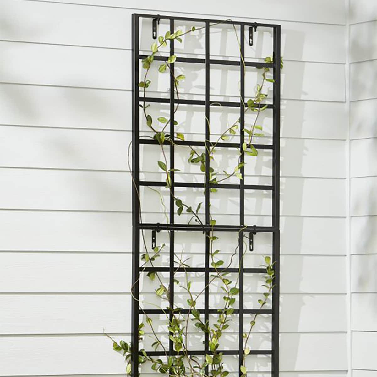 slide 3 of 6, Style Selections 30-in W x 36.75-in H Black Iron Traditional Garden Trellis For Climbing Plants For Roses, 1 ct