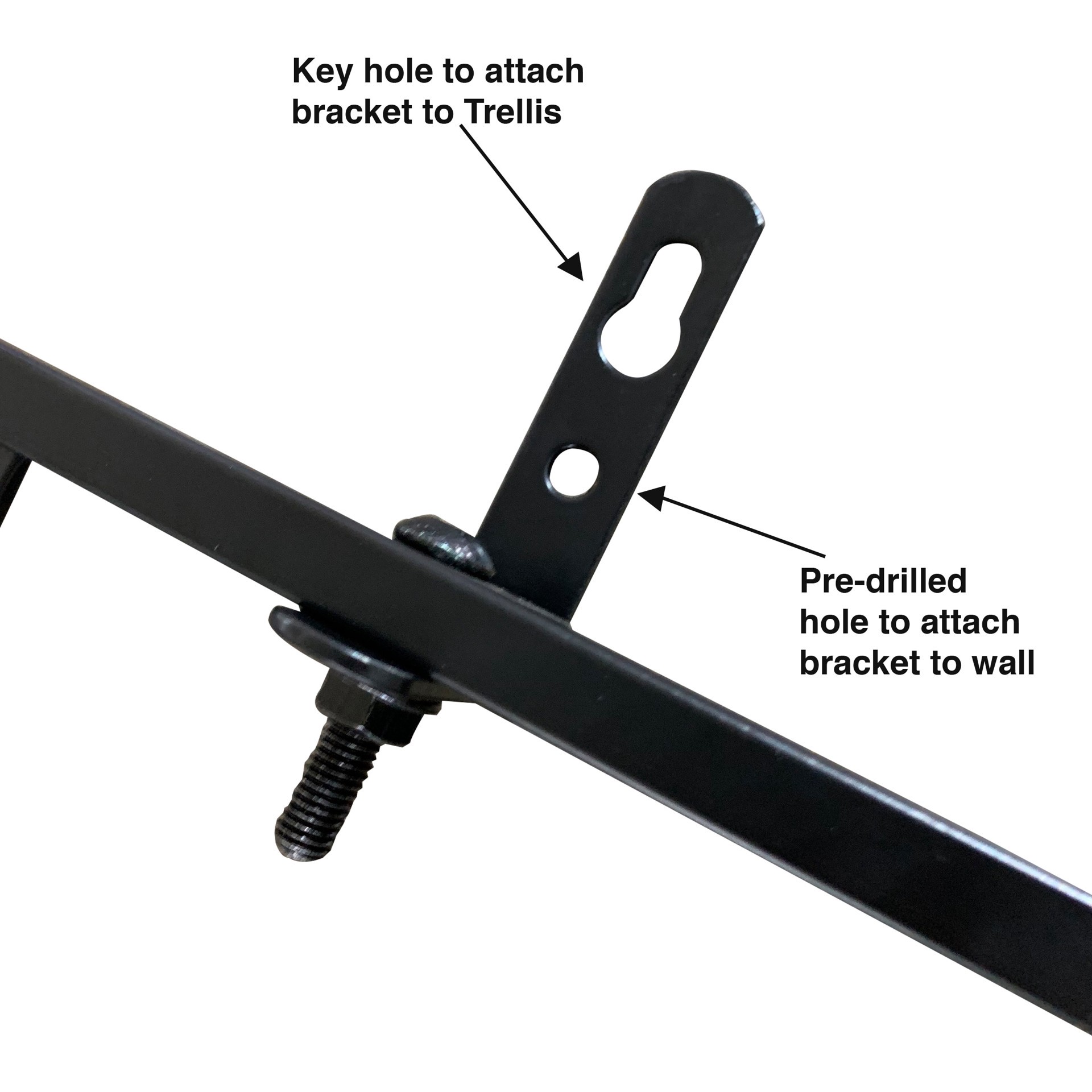 slide 5 of 6, Style Selections 30-in W x 36.75-in H Black Iron Traditional Garden Trellis For Climbing Plants For Roses, 1 ct