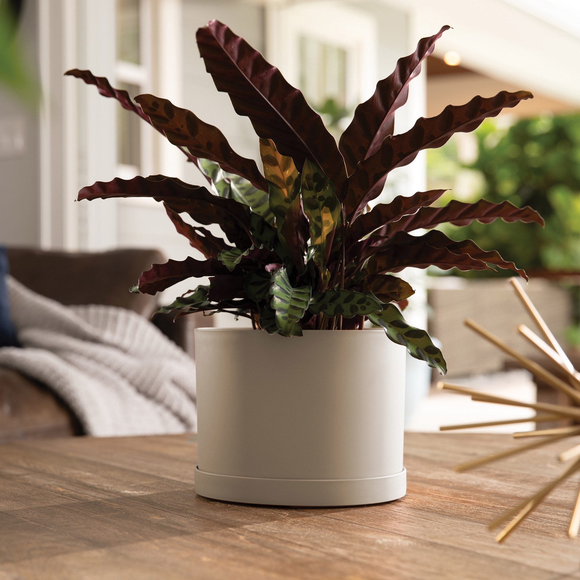 slide 3 of 4, allen + roth Round 9.63-in W x 8.5-in L Off-white Plastic Indoor/Outdoor Planter, 1 ct