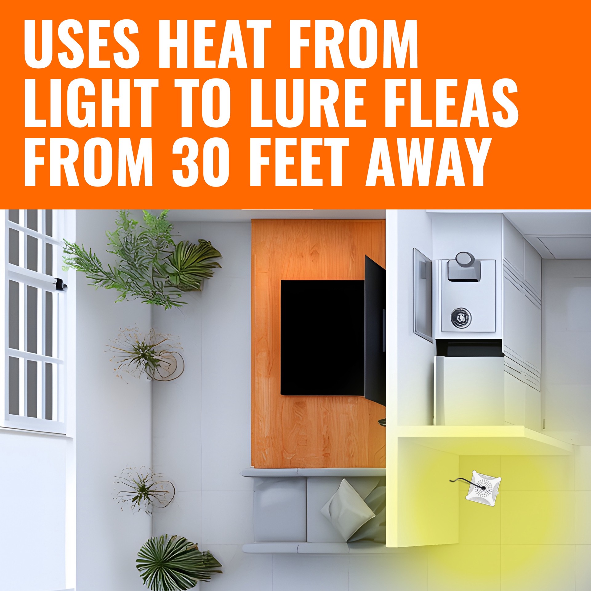 slide 4 of 6, TERRO Refillable Flea Indoor Glue Device Insect Trap, 1 ct