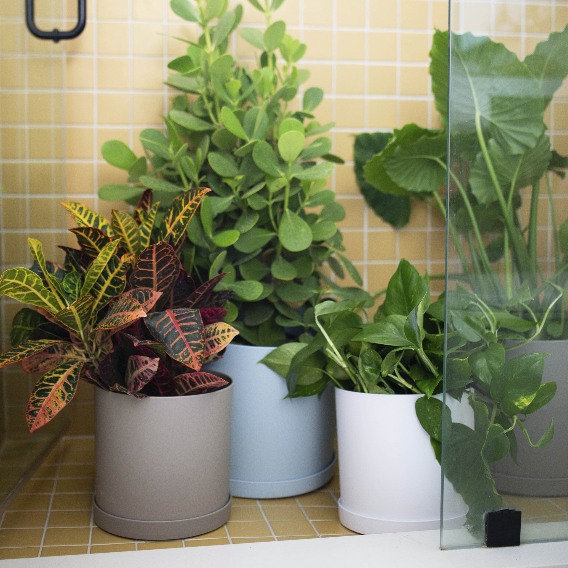 slide 3 of 6, allen + roth Round 9.63-in W x 9.63-in L Brown Plastic Indoor/Outdoor Planter, 1 ct