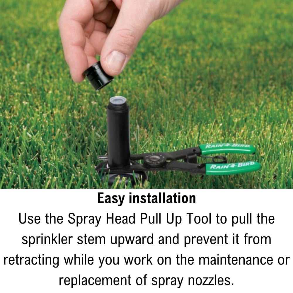 slide 5 of 6, Rain Bird 8-ft - 15-ft Half-circle Spray 2-in Pop-up spray head sprinkler, 1 ct