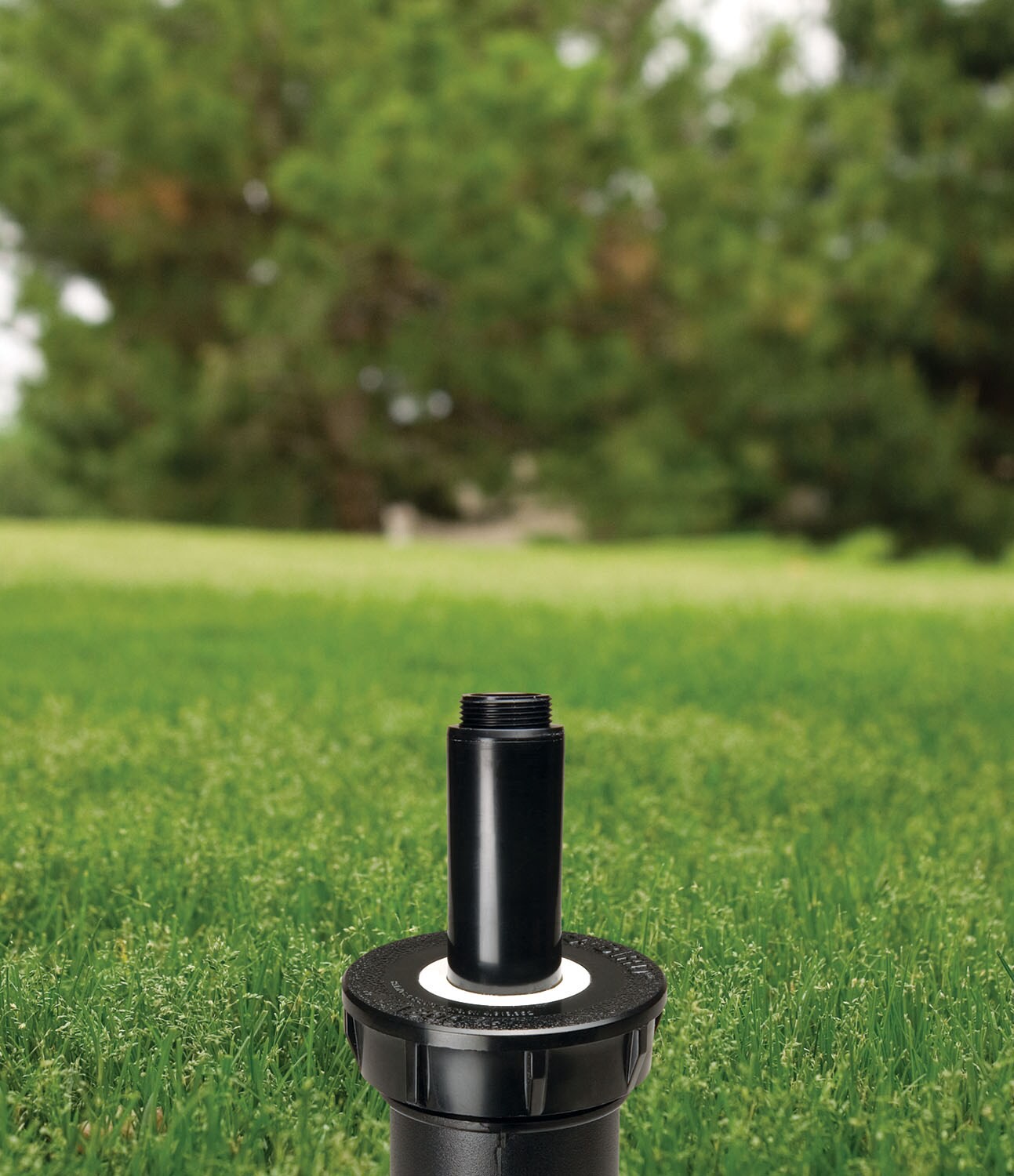 slide 3 of 6, Rain Bird - no nozzle Spray 2-in Pop-up spray head sprinkler, 1 ct