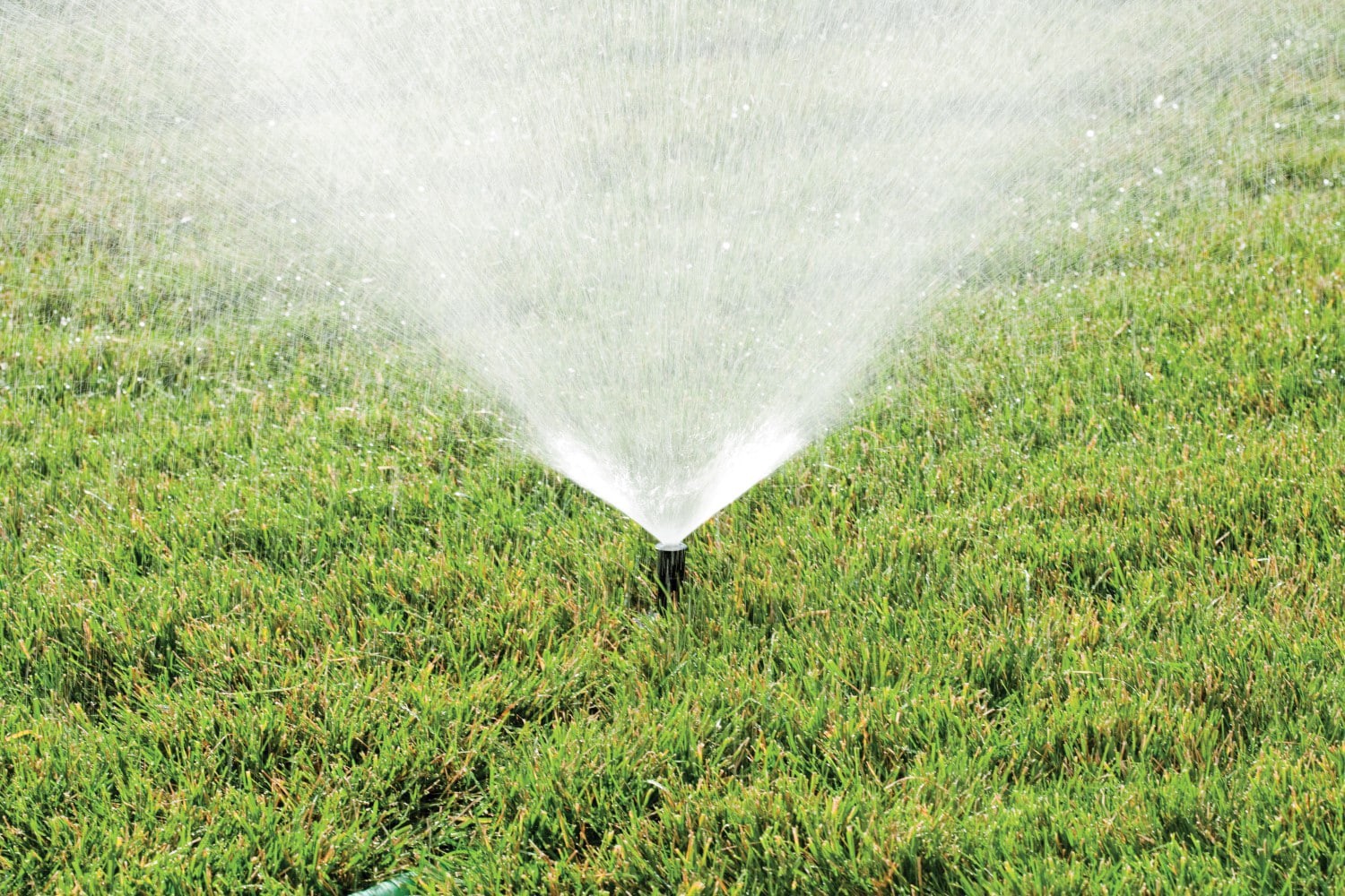 slide 4 of 6, Rain Bird - no nozzle Spray 2-in Pop-up spray head sprinkler, 1 ct
