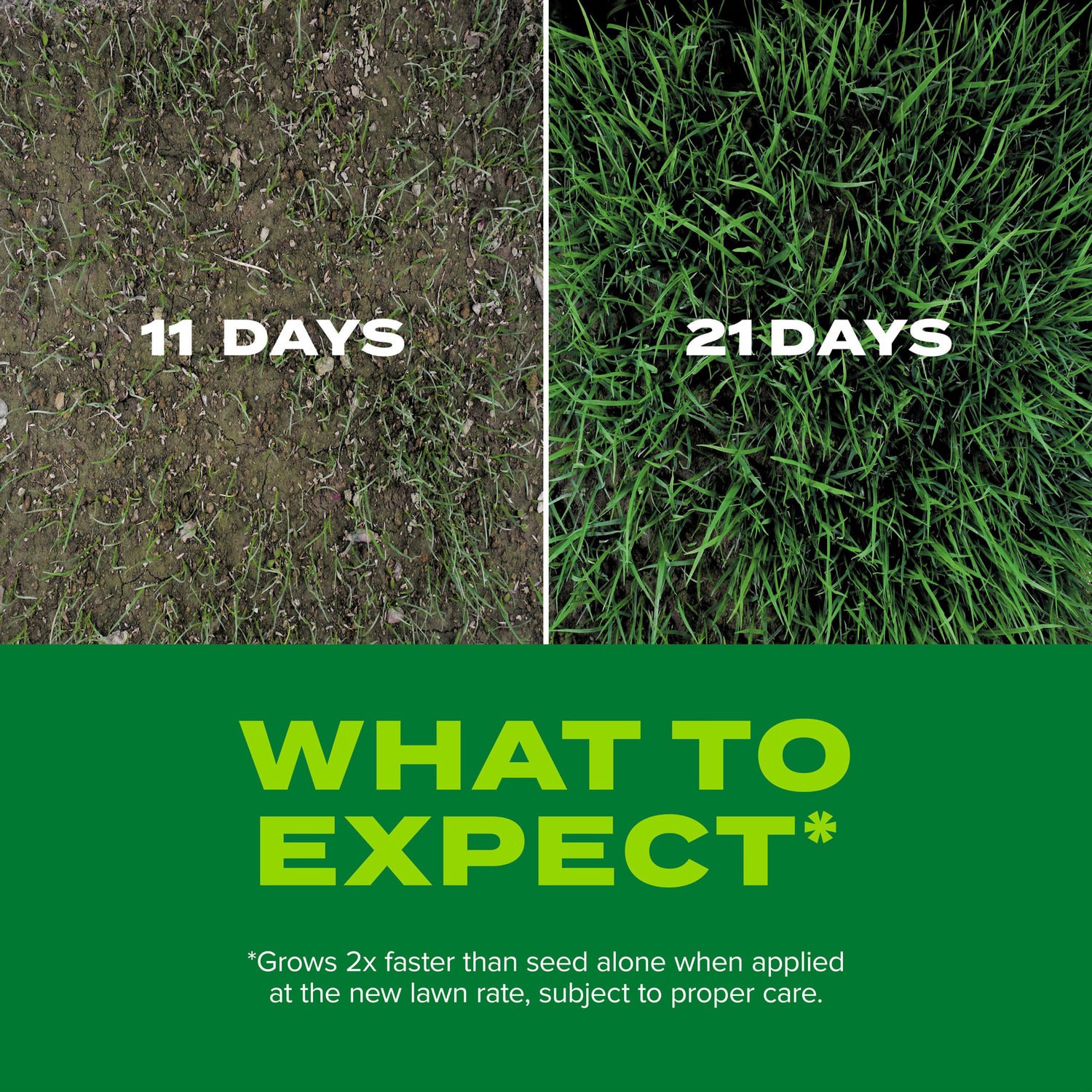 slide 2 of 6, Scotts Turf Builder Rapid Grass 16-lb Tall Fescue Grass Seed, 1 ct