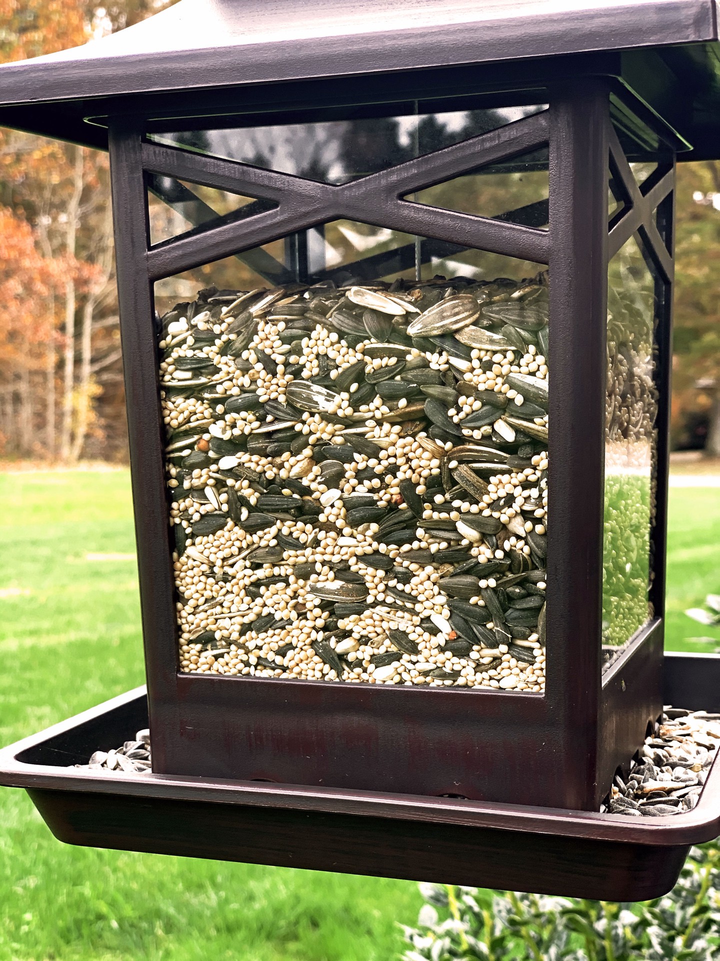 slide 3 of 6, Backyard Glory Plastic Hanging Hopper Bird feeder - 5-lb, 1 ct
