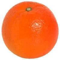 Minneola Tangelo