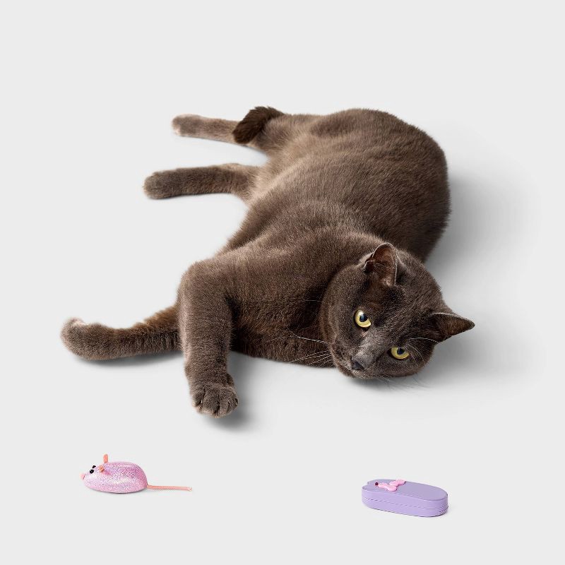 slide 2 of 3, Electronic Mouse Teaser Cat Toy - Boots & Barkley™ Assorted Pink, 1 ct
