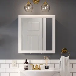 Project Source 24.25-in x 24-in Surface Mount True White Mirrored Square Medicine Cabinet