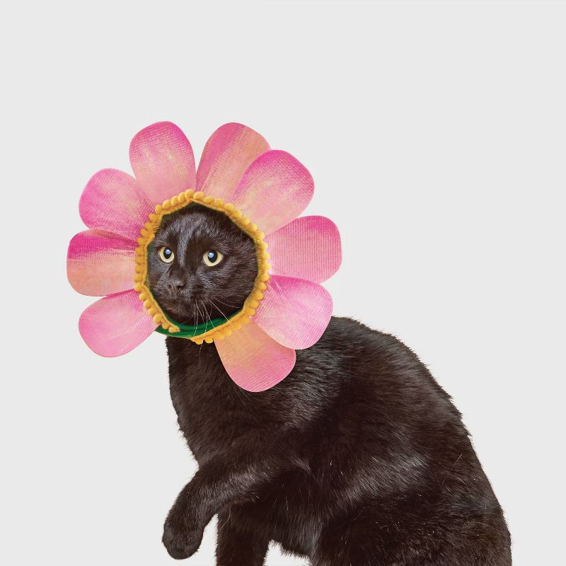 slide 1 of 2, Rainbow Flower Cat Headpiece Costume - Boots & Barkley™ One Size Fits Most, 1 ct