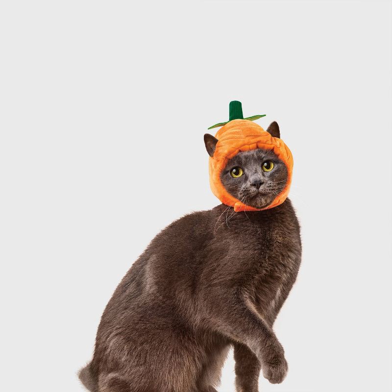slide 1 of 2, Pumpkin Cat Headpiece Costume - Boots & Barkley™ One Size Fits Most, 1 ct