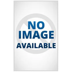 Hachette Book Group Murdle Jr.: Wild Goose Case - by G T Karber (Paperback)