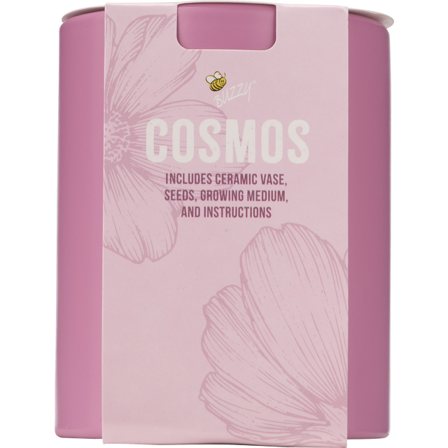 slide 1 of 1, BUZZY Ceramic Cosmos Grow Kit, 1 ct