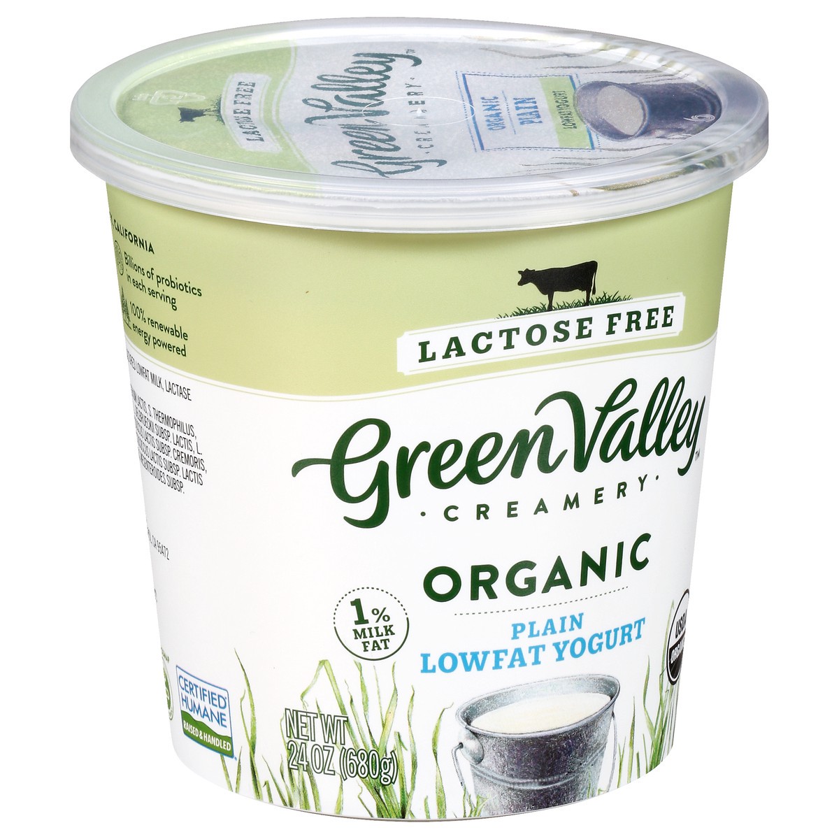 slide 2 of 10, Green Valley Organics Lactose Free Organic Plain Lowfat Yogurt 24 oz, 24 oz