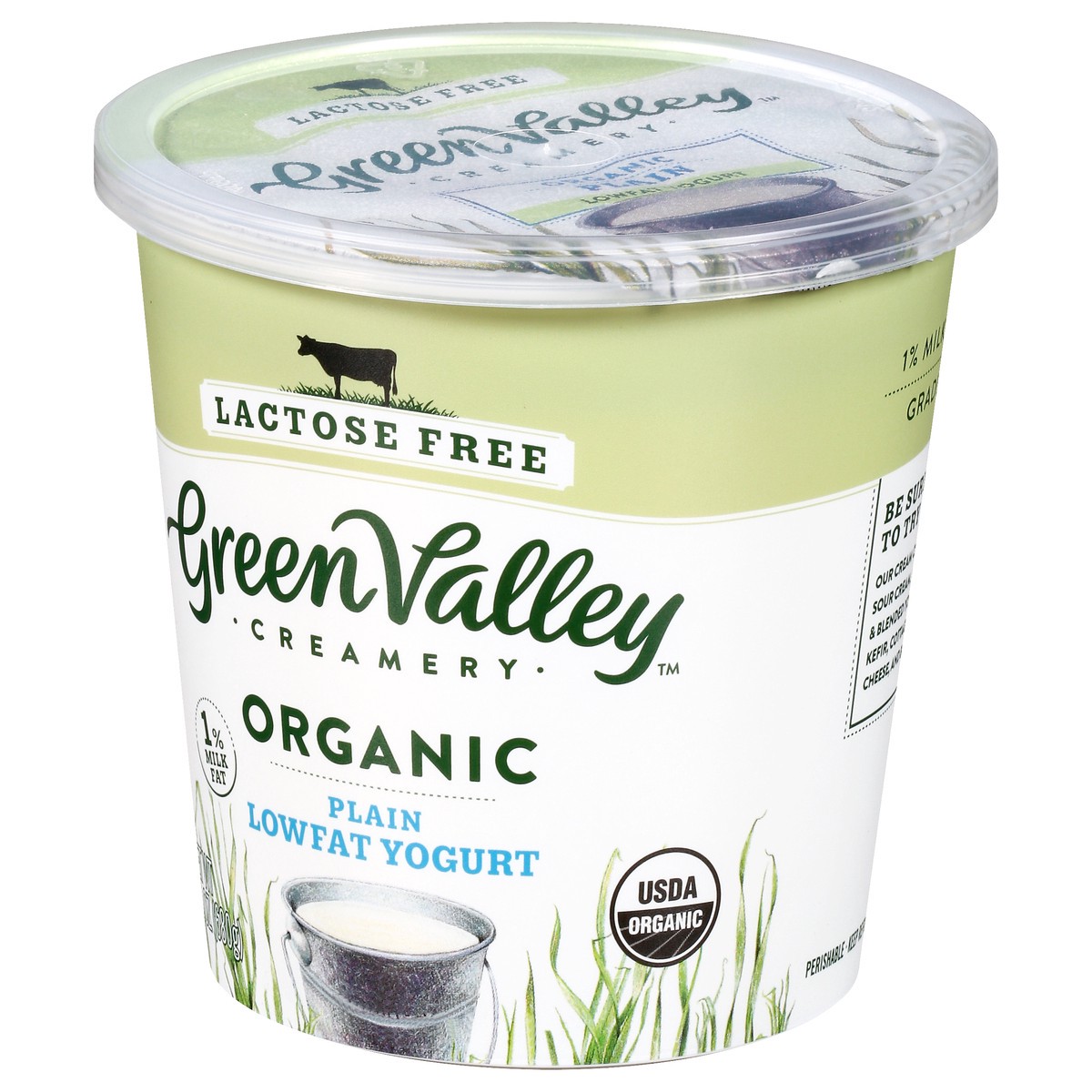 slide 7 of 10, Green Valley Organics Lactose Free Organic Plain Lowfat Yogurt 24 oz, 24 oz