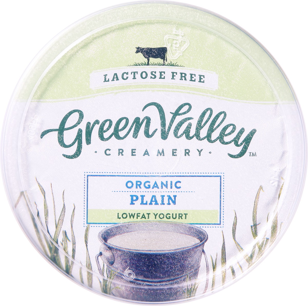 slide 4 of 10, Green Valley Organics Lactose Free Organic Plain Lowfat Yogurt 24 oz, 24 oz