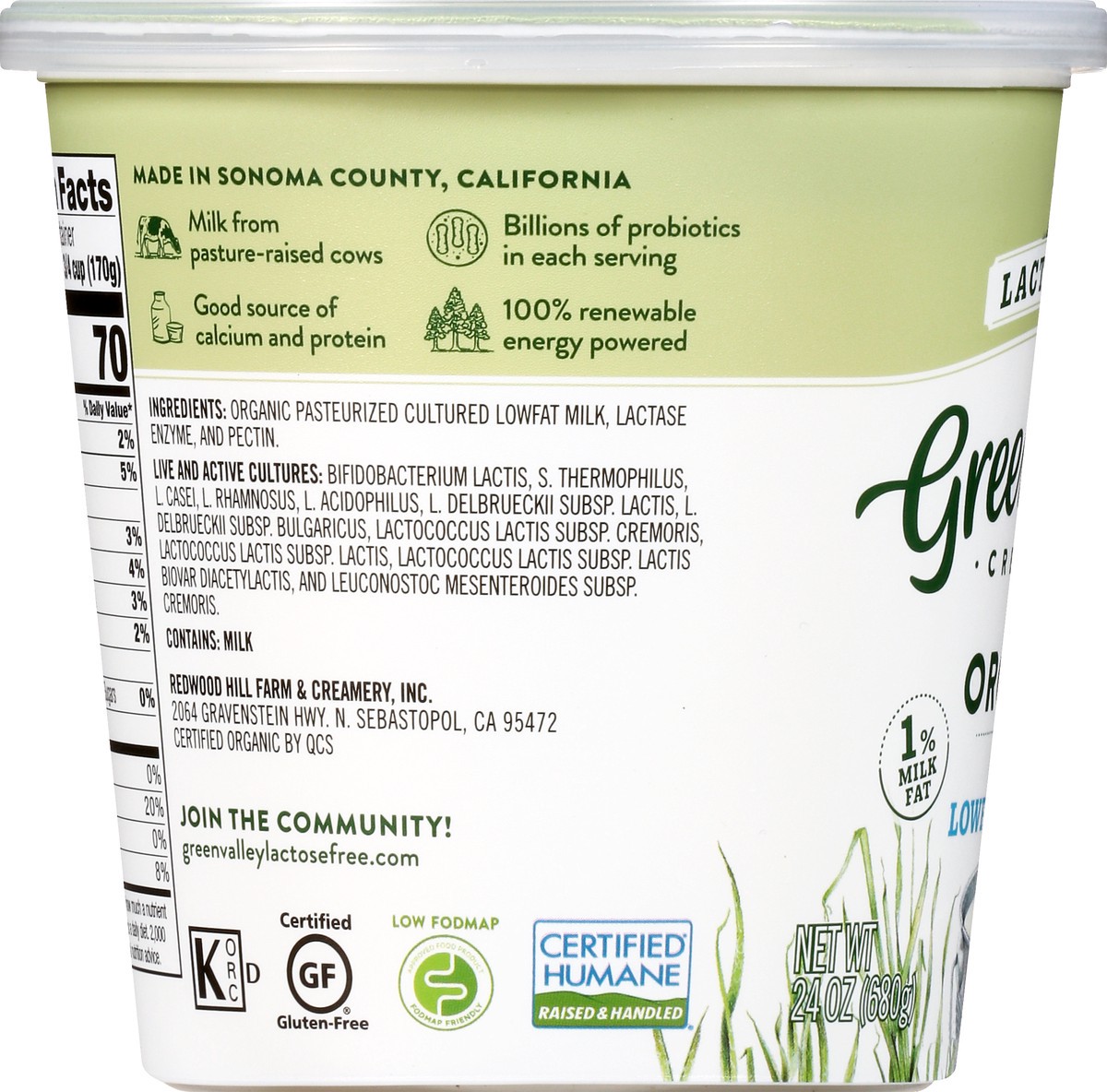 slide 5 of 10, Green Valley Organics Lactose Free Organic Plain Lowfat Yogurt 24 oz, 24 oz